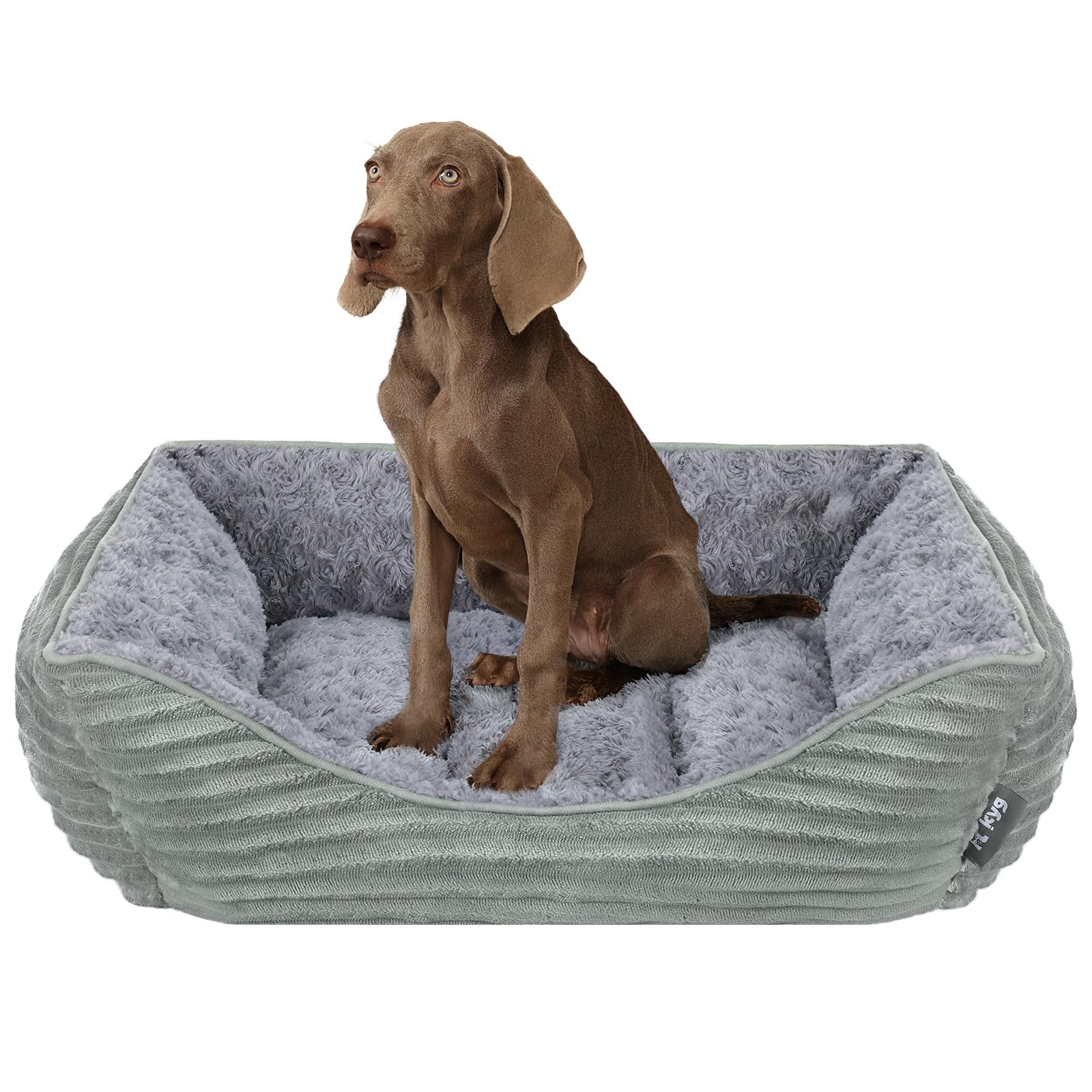  Mewoofun Hundesofabett