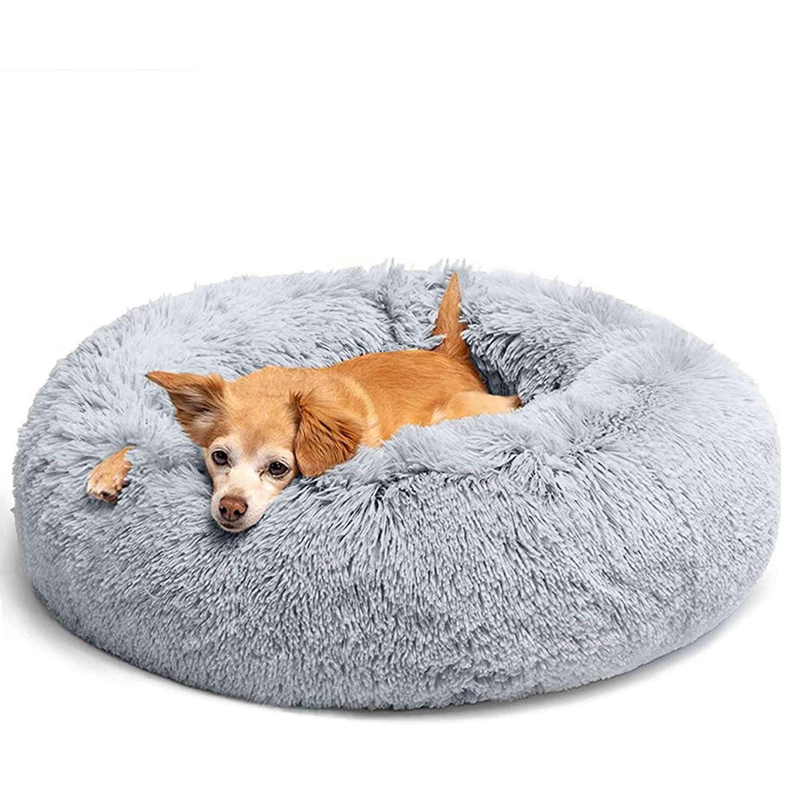  Mewoofun Hundebett